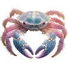 Стикер 11 Sea Invertebrates