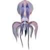 Стикер 32 Sea Invertebrates