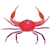 Стикер 8 Sea Invertebrates