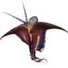 Стикер 41 Sea Invertebrates