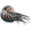 Стикер 27 Sea Invertebrates