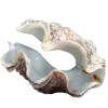 Стикер 51 Sea Invertebrates
