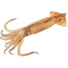 Стикер 28 Sea Invertebrates