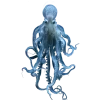 Стикер 31 Sea Invertebrates