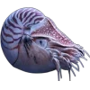 Стикер 26 Sea Invertebrates
