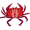 Стикер 9 Sea Invertebrates