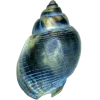 Стикер 49 Sea Invertebrates