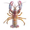 Стикер 12 Sea Invertebrates
