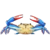 Стикер 3 Sea Invertebrates