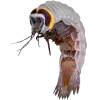 Стикер 23 Sea Invertebrates
