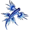 Стикер 39 Sea Invertebrates