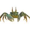 Стикер 5 Sea Invertebrates