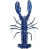 Стикер 17 Sea Invertebrates