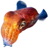 Стикер 34 Sea Invertebrates
