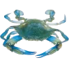 Стикер 2 Sea Invertebrates