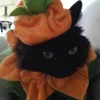 Стикер 6 Halloween #halloween #status