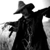 Стикер 17 Halloween #halloween #status