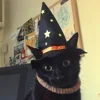 Стикер 56 Halloween #halloween #status