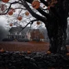 Стикер 23 Halloween #halloween #status