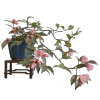 Стикер 25 ๑ Decor