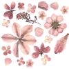 Стикер 11 ๑ Decor