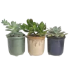 Стикер 51 ๑ Decor