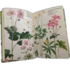 Стикер 9 ๑ Decor