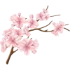 Стикер 13 Japan Vibe
