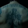 Стикер 54 😨 Видео набор эмоджи по фильму «John Wick Джон Уик»