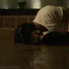 Стикер 31 😨 Видео набор эмоджи по фильму «John Wick Джон Уик»