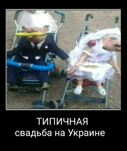🎾 Стикер «Абоба» для Telegram