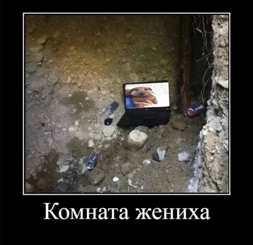 🥵 Стикер «Абоба» для Telegram
