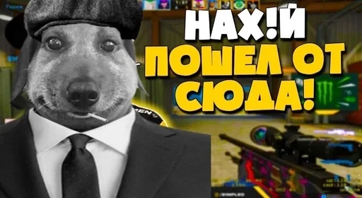 😉 Стикер «Абоба» для Telegram