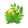 Стикер 51 Jungle