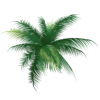 Стикер 52 Jungle