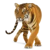 Стикер 48 Jungle