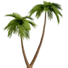 Стикер 22 Jungle