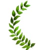 Стикер 53 Jungle