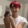 Стикер 35 Jungwon ー