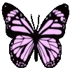 Стикер 40 🔥🦋🌀🦋⭐️💎💙⭐️💚