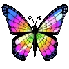 Стикер 16 🔥🦋🌀🦋⭐️💎💙⭐️💚