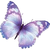 Стикер 34 🔥🦋🌀🦋⭐️💎💙⭐️💚