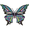 Стикер 39 🔥🦋🌀🦋⭐️💎💙⭐️💚