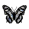 Стикер 41 🔥🦋🌀🦋⭐️💎💙⭐️💚