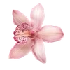 Стикер 37 Интерны #other #mem