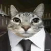 Стикер 36 Коты премиум