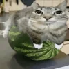 Стикер 21 Коты премиум