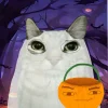 Стикер 34 Коты премиум