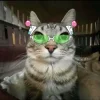 Стикер 57 Коты премиум