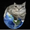 Стикер 2 Коты премиум